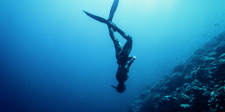 Physiological Changes that Occur in the Body to Enable Mammalian Diving Reflex