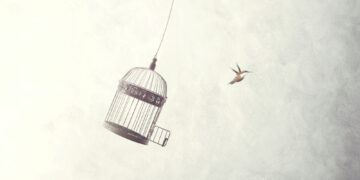 A Deep Dive into the Illusion of Independent Choice